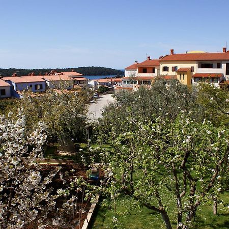 Apartments Cezar Vinkuran Kültér fotó