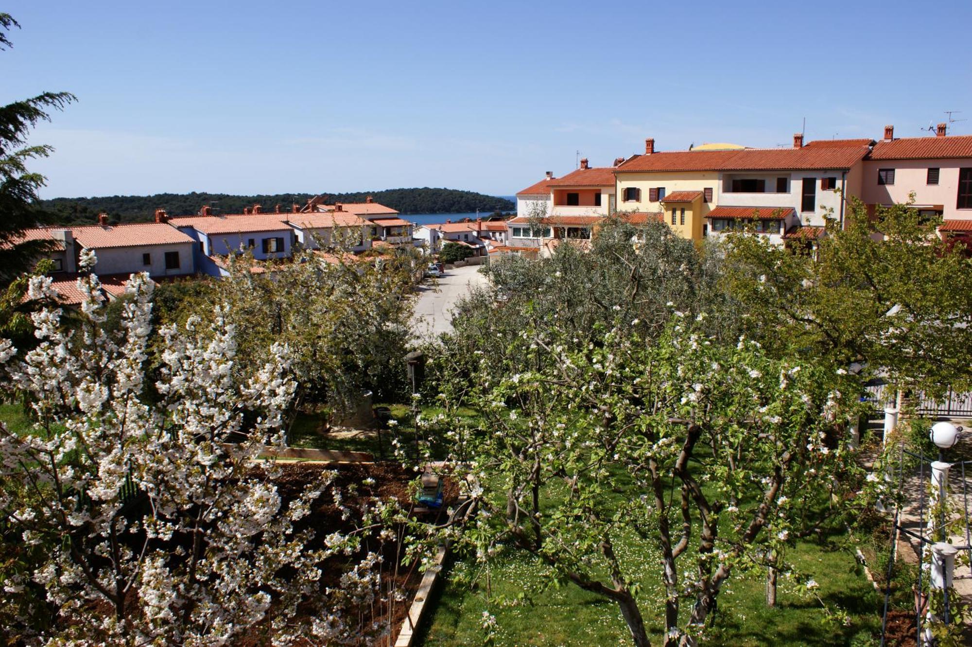 Apartments Cezar Vinkuran Kültér fotó